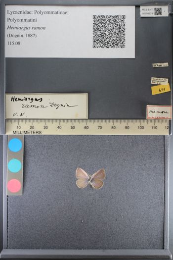 Media type: image;   Entomology 194574